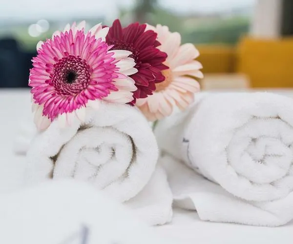 Quinta Nossa Senhora Do Cabo Lagoa (Azores)